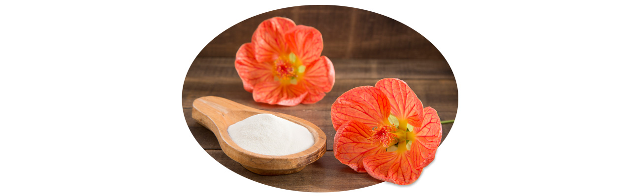 A kollagén hatása: 2 fontos egészségügyi probléma, amire már bizonyították, hogy hatásos lehet!