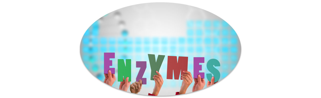 Ezek a legfontosabb emésztőenzimek,  és ezt okozhatja a hiányuk