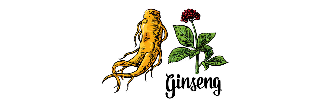 Immunerősítés, szellemi frissesség,  energiaszintünk növelése?