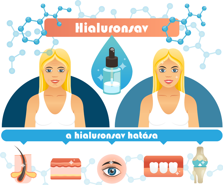 Hialuronsav kedvező hatásai, ábra